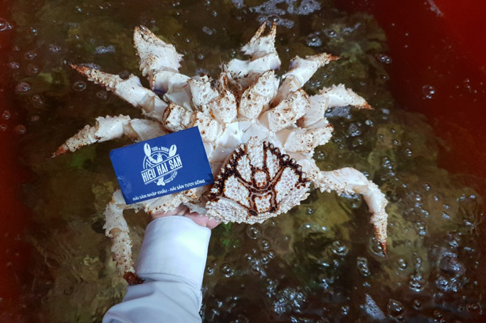 ruby-crab-la-gi