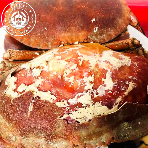 Cua Nâu Nauy sống (0,7 - 1,2 kg)