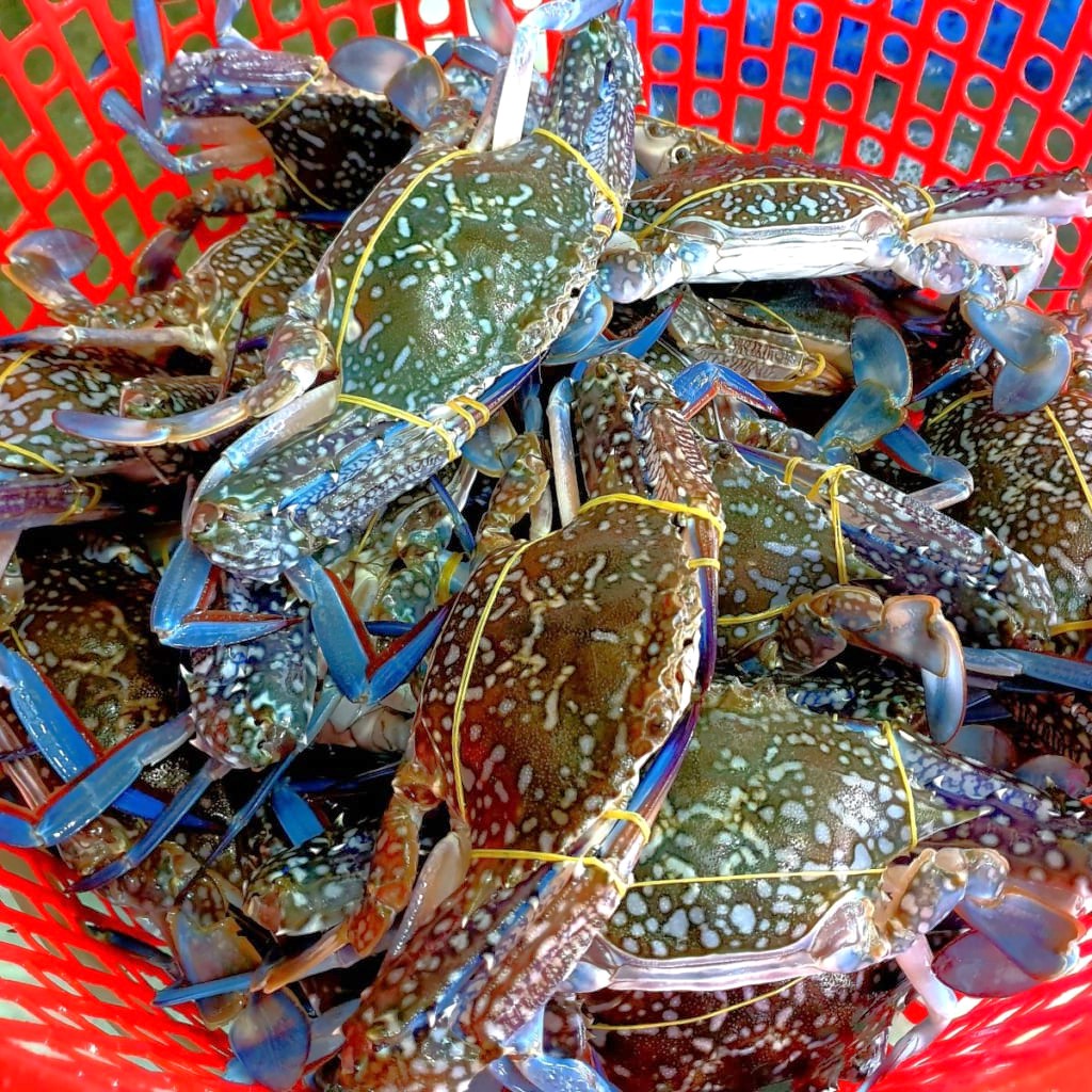 Ghẹ sống (3 - 4 con/kg)