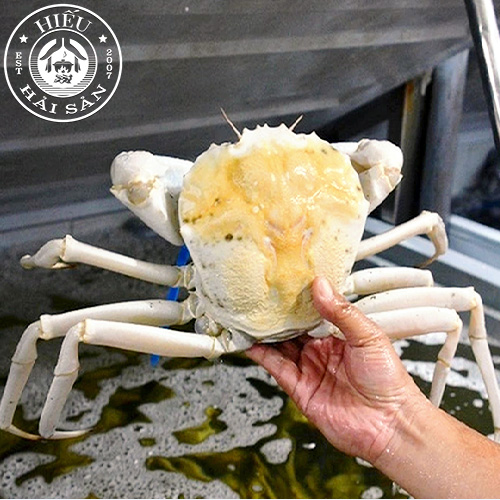Cua pha lê Úc sống (1 - 2kg)