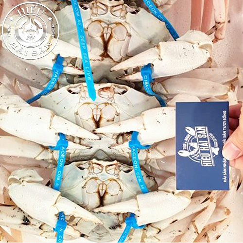Cua pha lê Úc sống (1 - 2kg)