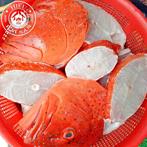 Cá Mú Đỏ (2 - 5 Kg)