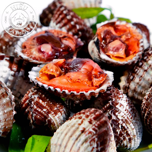 Sò Huyết Đại (7 - 15 con)