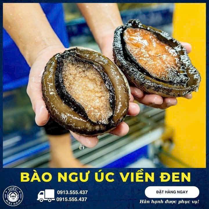 Bào ngư Úc viền đen