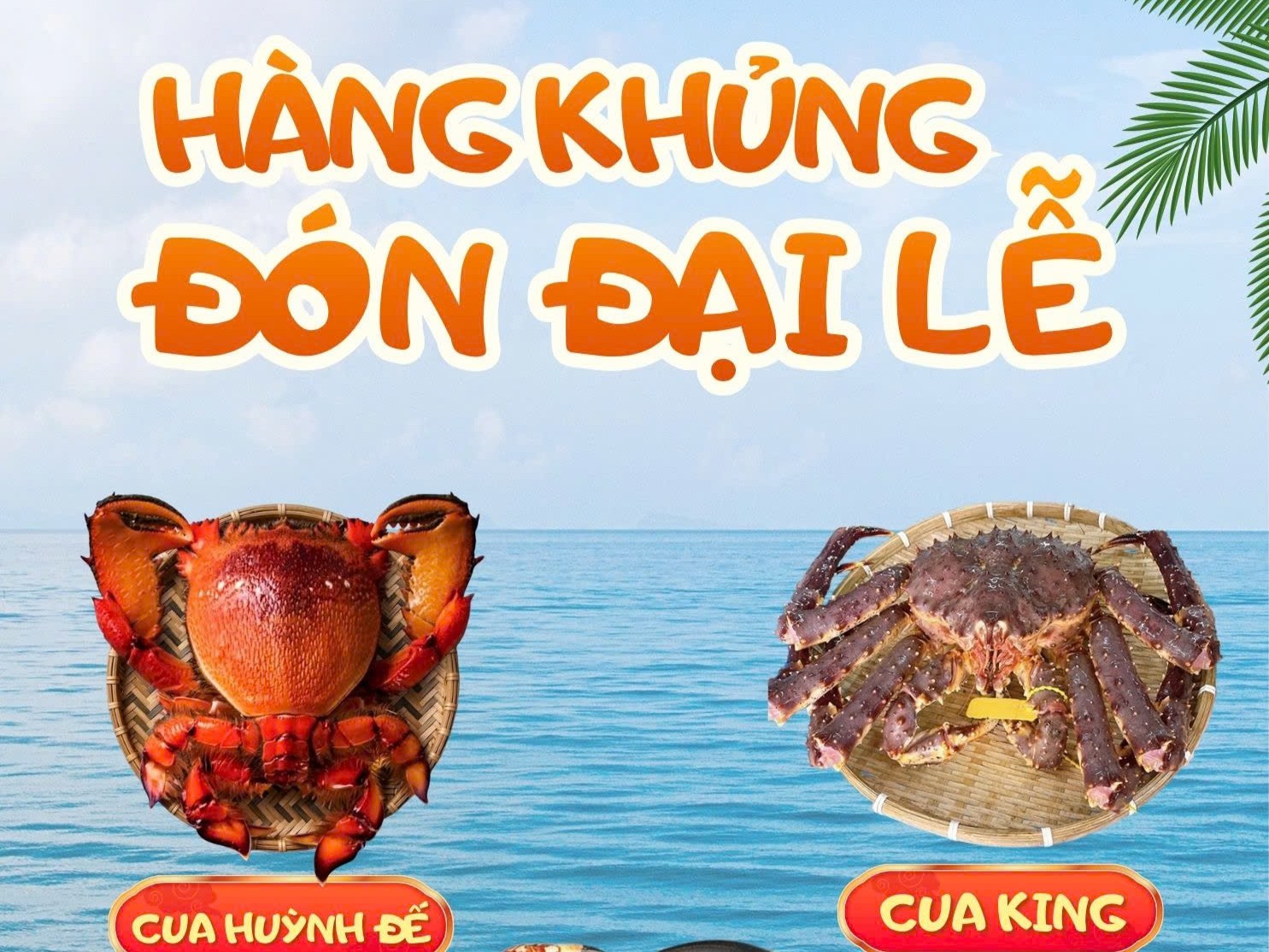 Bắt Hải Sản Đón Đại Lễ Tháng 4 - Hàng Khủng Long