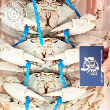 Cua pha lê Úc sống (1 - 2kg)