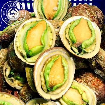 Bào Ngư Úc (3 - 4 con)