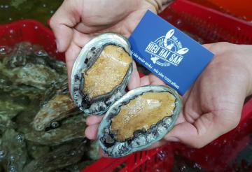 Bào ngư Hàn Quốc