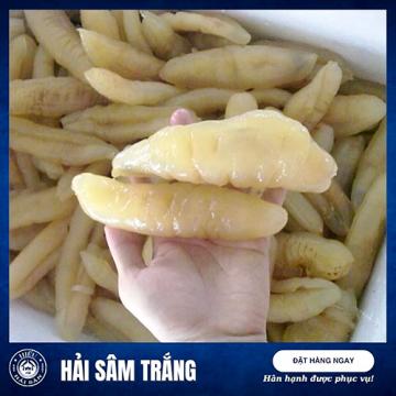 Hải Sâm Trắng (7 - 10 con)