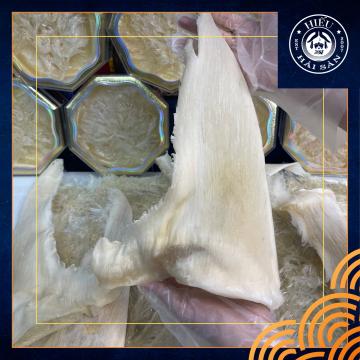 Vi cá nguyên vây (100g)