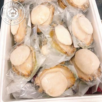 Bào ngư Úc viền xanh tách vỏ